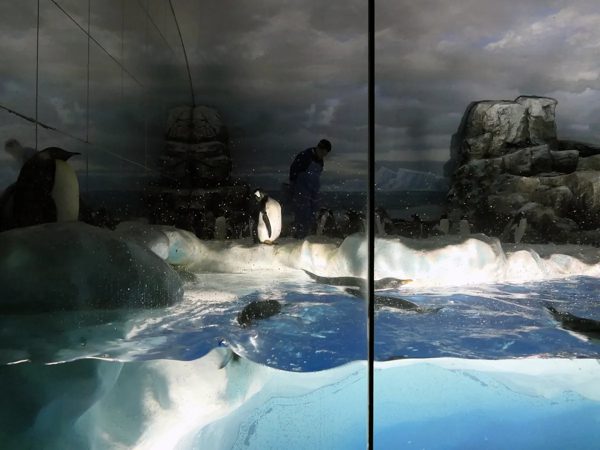 Port of Nagoya Public Aquarium