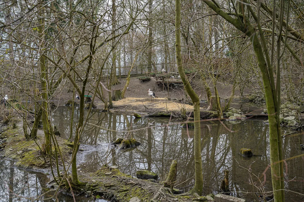 Tiergarten Wels