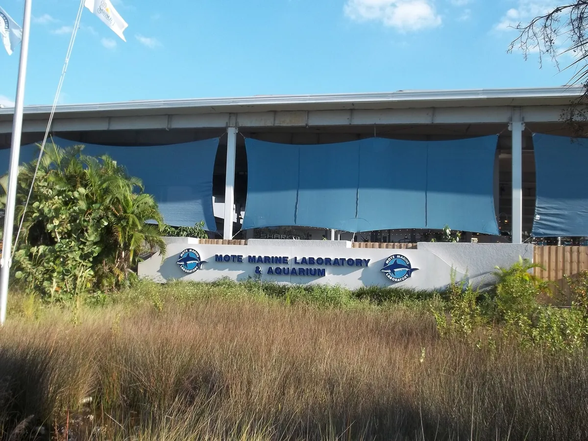 Mote Marine Laboratory and Aquarium