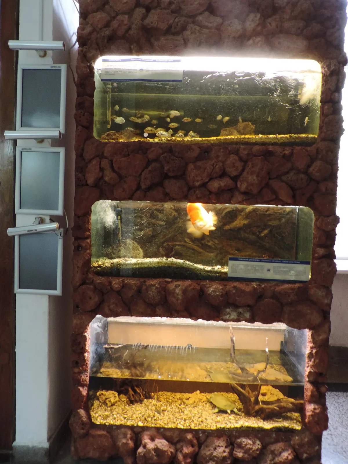 Varna Aquarium
