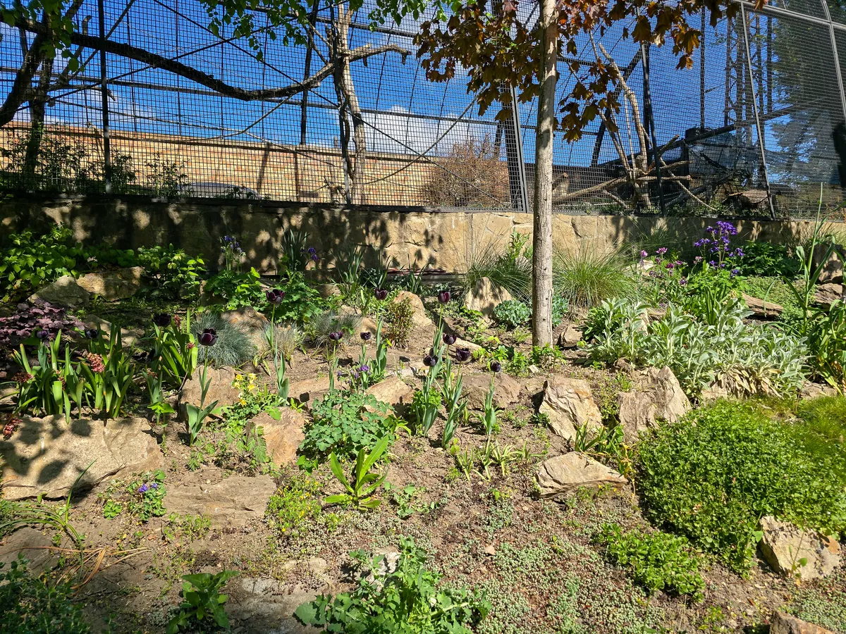 Budapest Zoo and Botanical Garden