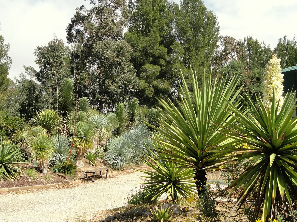 Jardin zoologique tropical