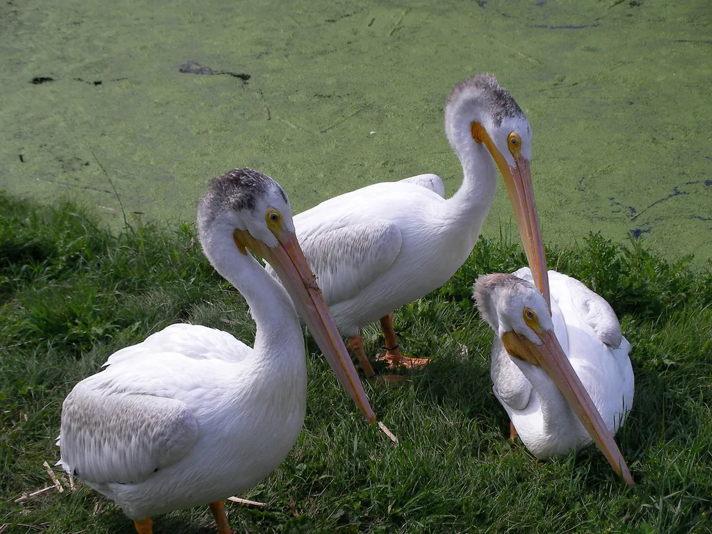 Racine Zoological Gardens