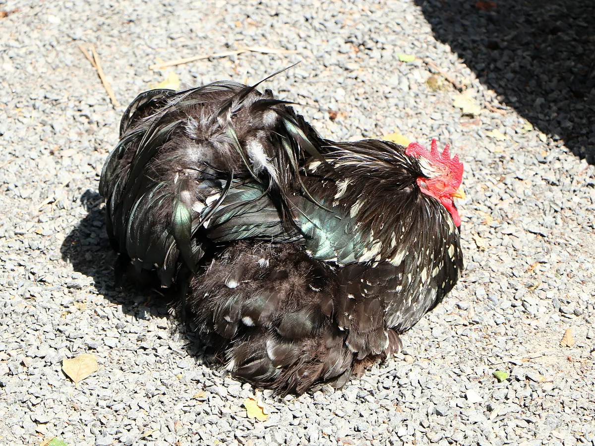 Tierpark Eilenburg