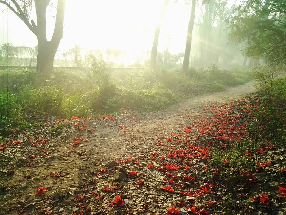 Sanjay Gandhi Biological Park