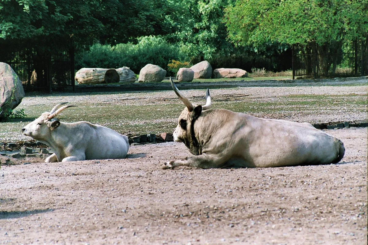 Tiergarten Bernburg