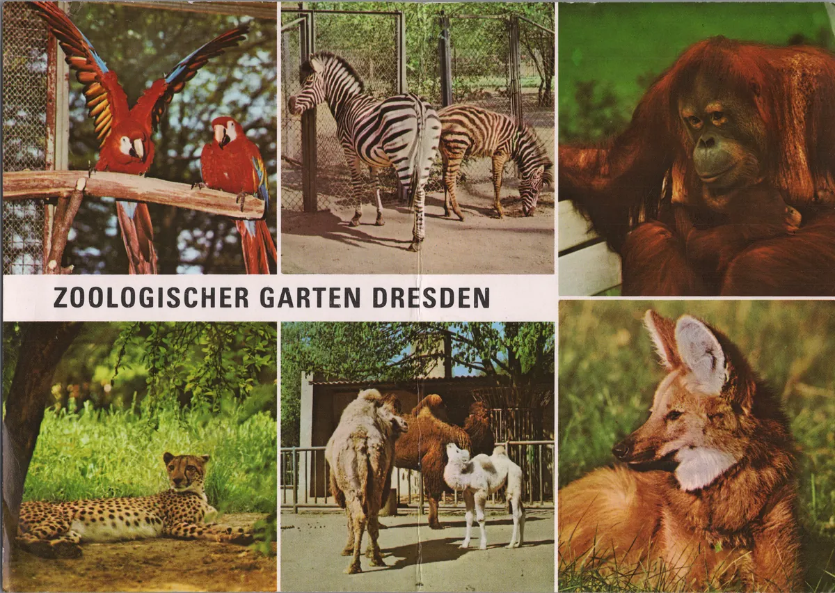Zoo Dresden