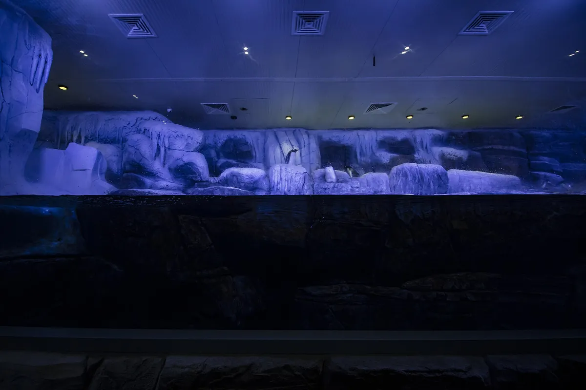 Istanbul Aquarium