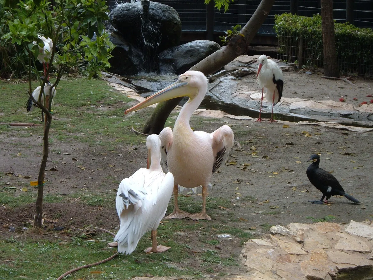 Hai Park Kiryat Motzkin