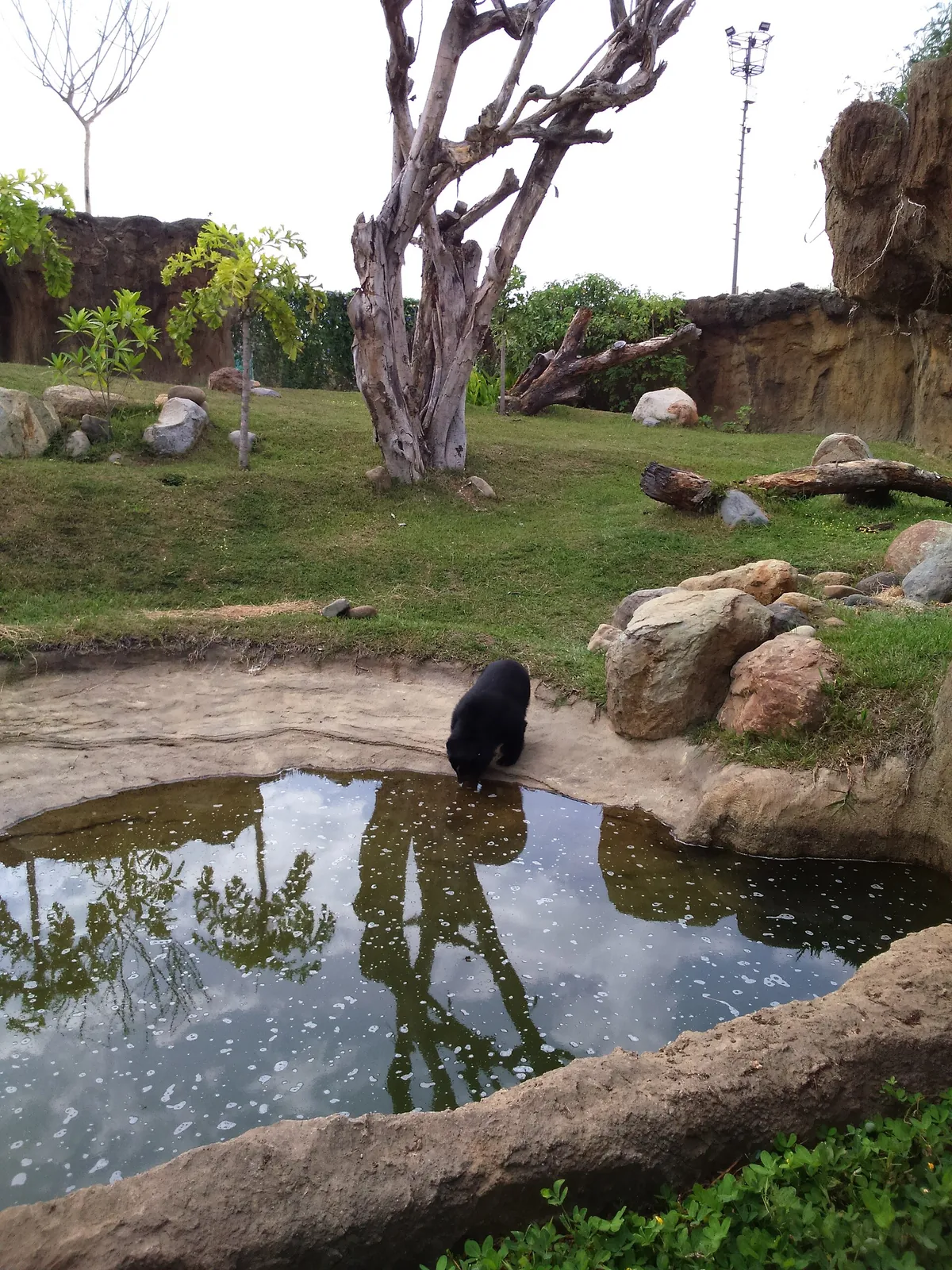Bioparque UKUMARI