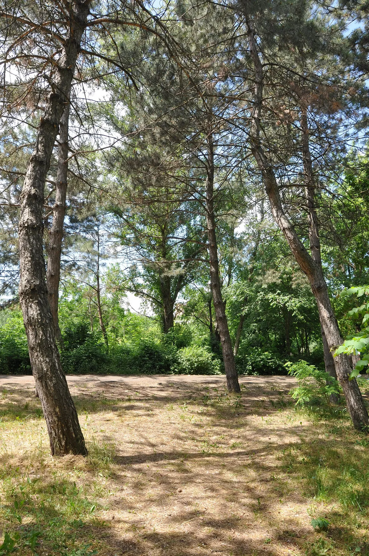 Rostov Zoo