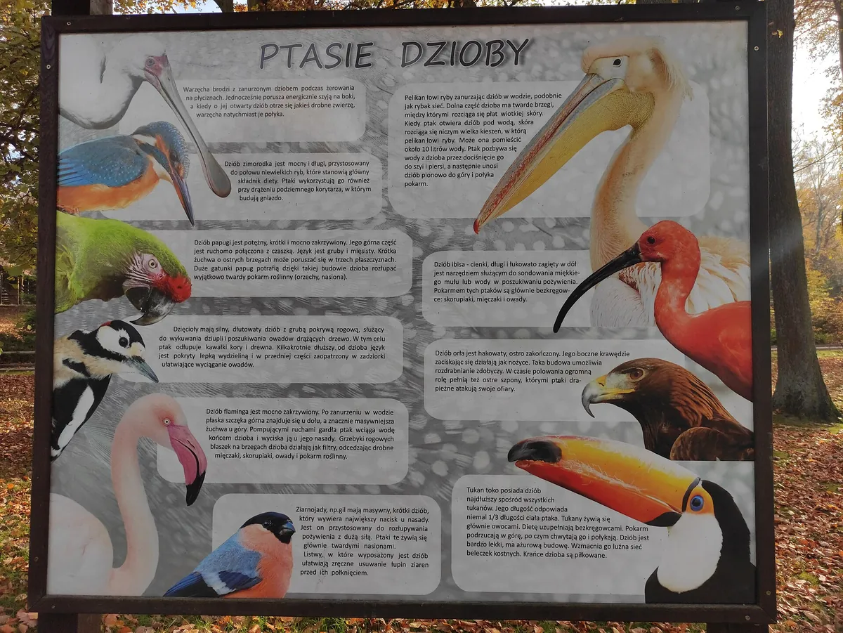Kraków Zoo