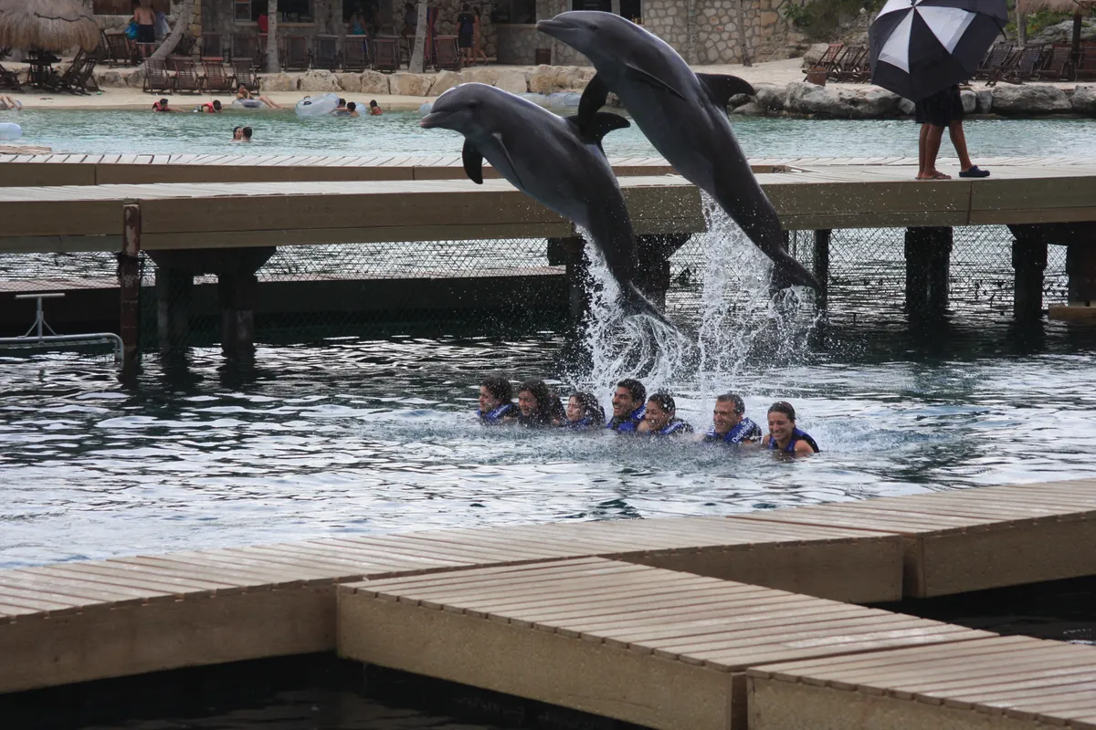 Grupo Xcaret