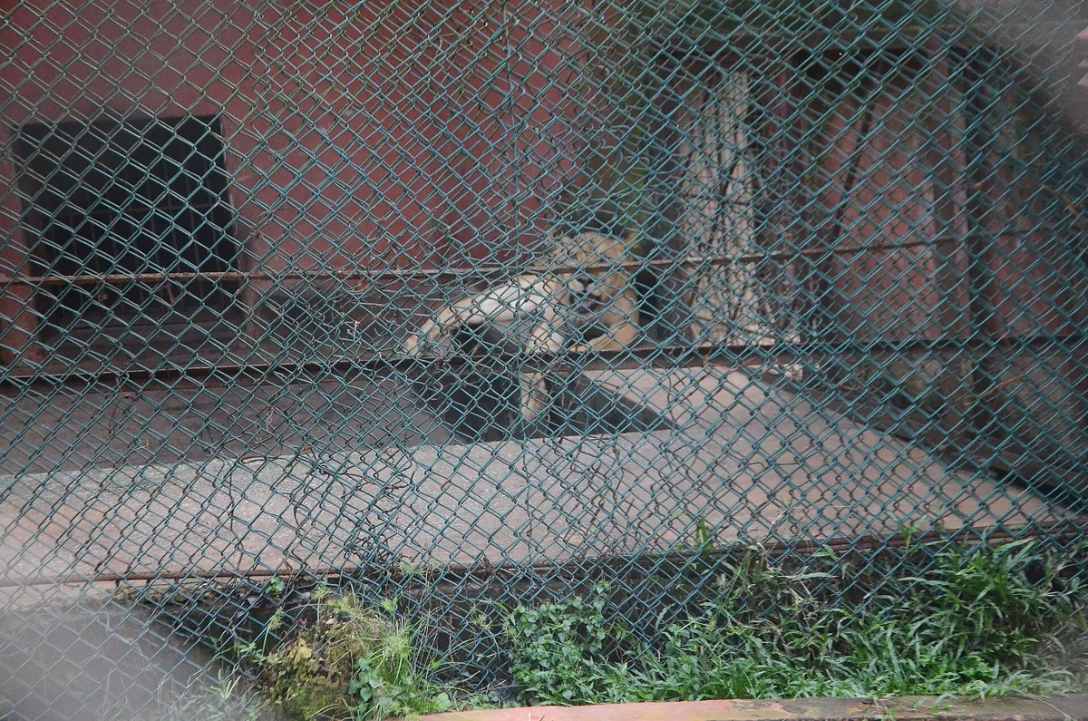 Ogba Zoo & Nature Park