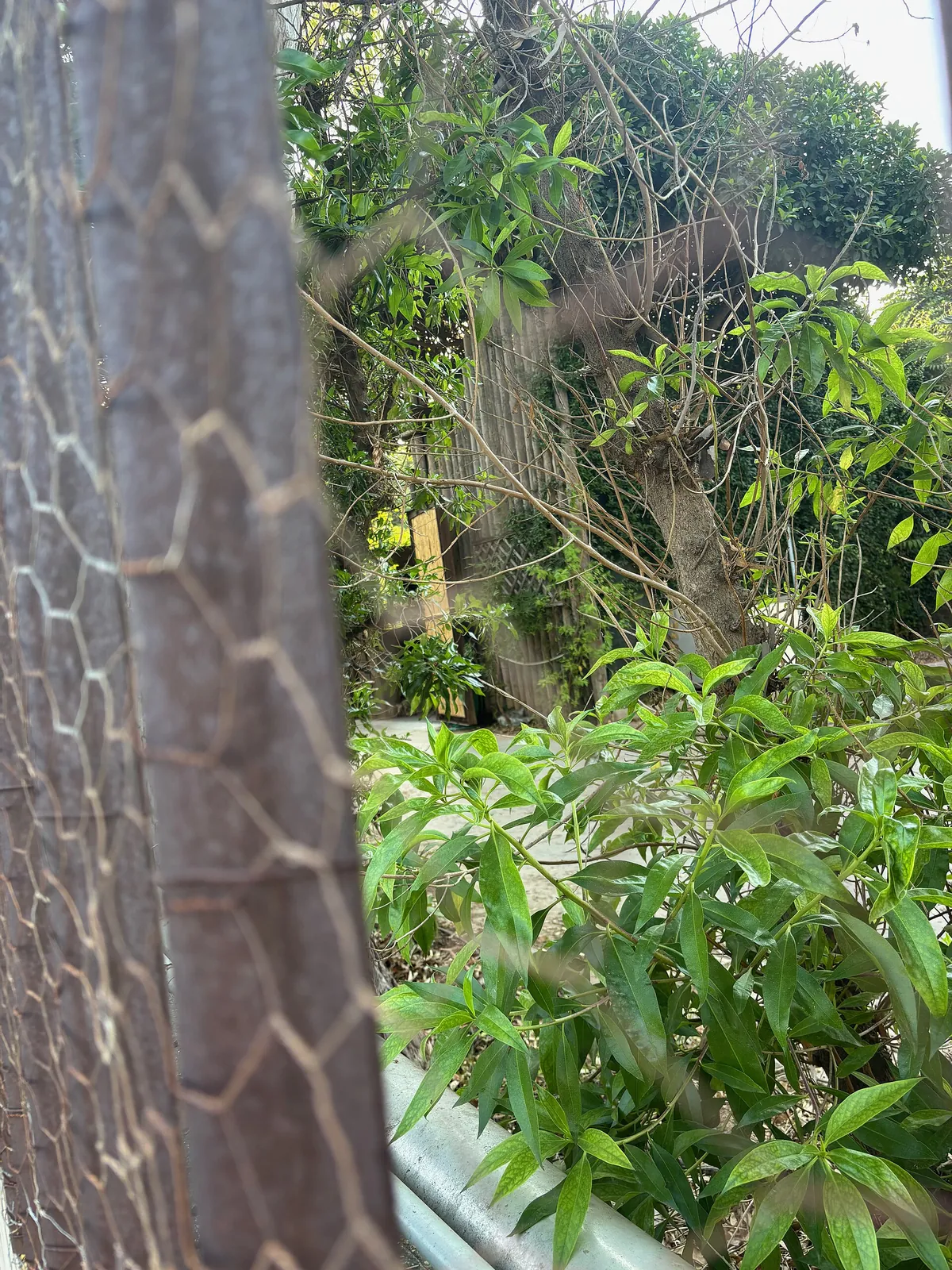 BIOPARC Valencia