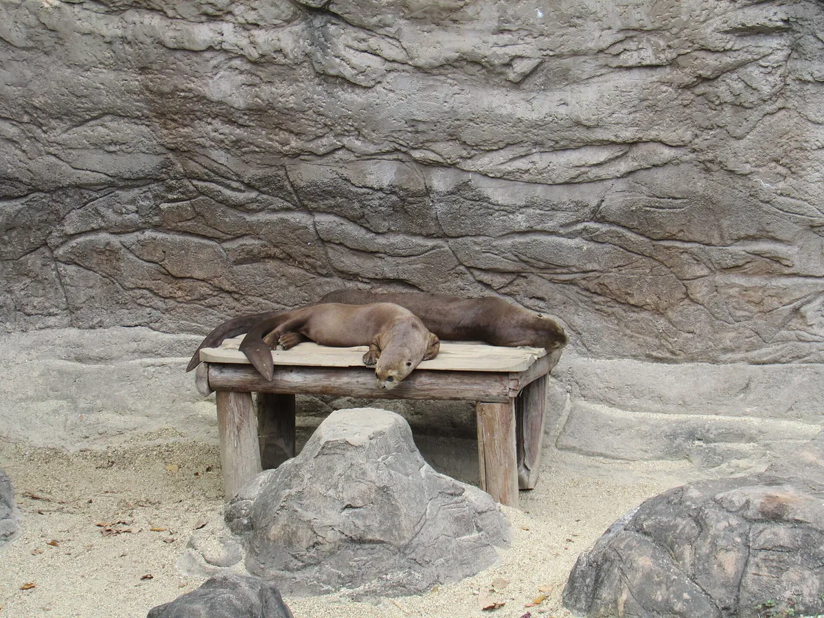 Emperor Valley Zoo