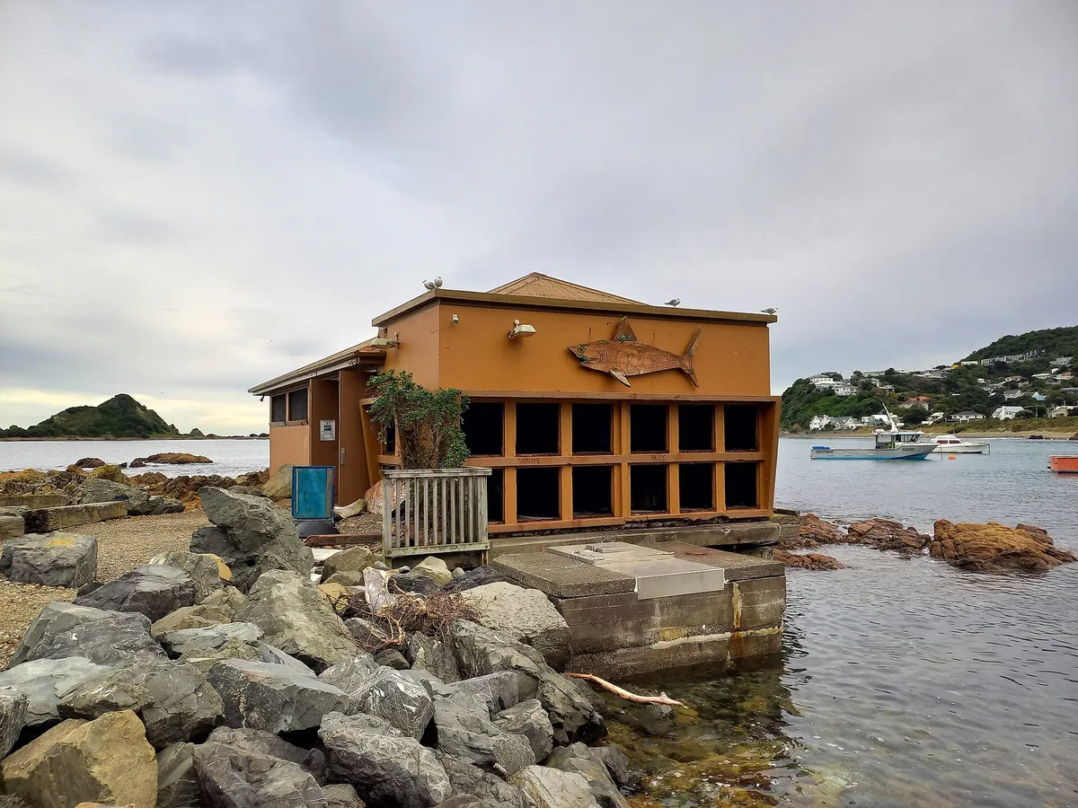 Island Bay Marine Education Centre