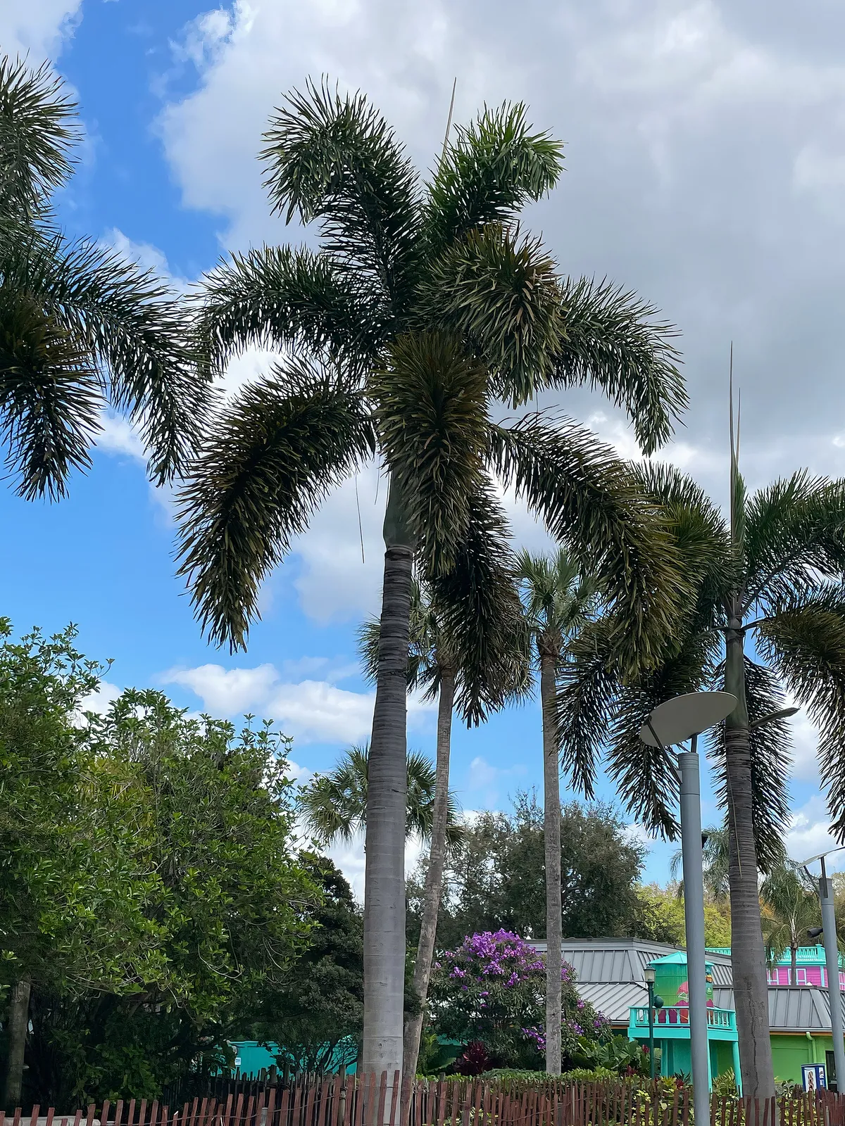 SeaWorld Orlando
