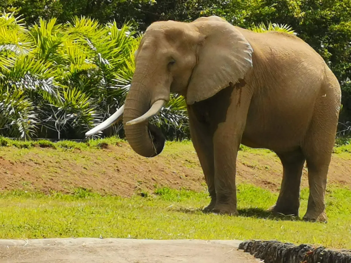 Bioparque UKUMARI