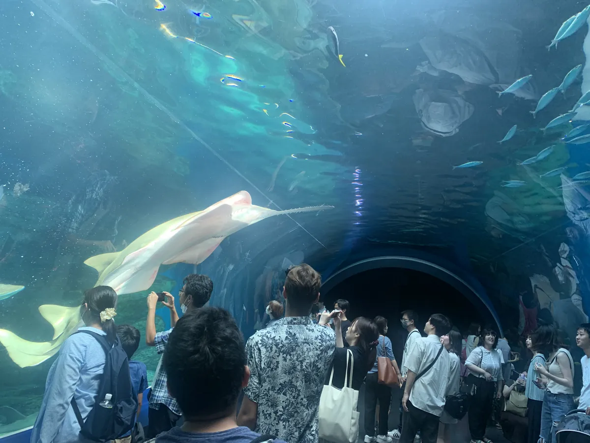 Aqua Park Shinagawa