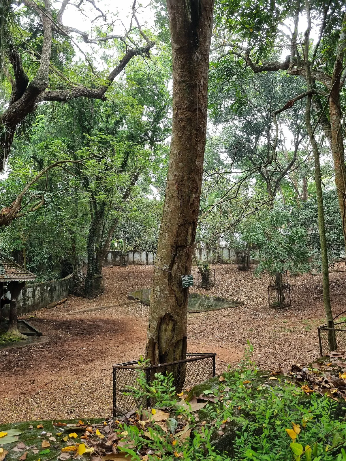Thiruvananthapuram Zoo
