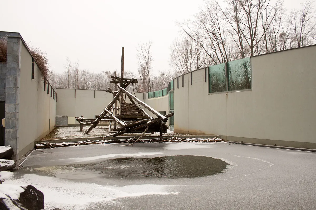 Nyíregyházi Állatpark
