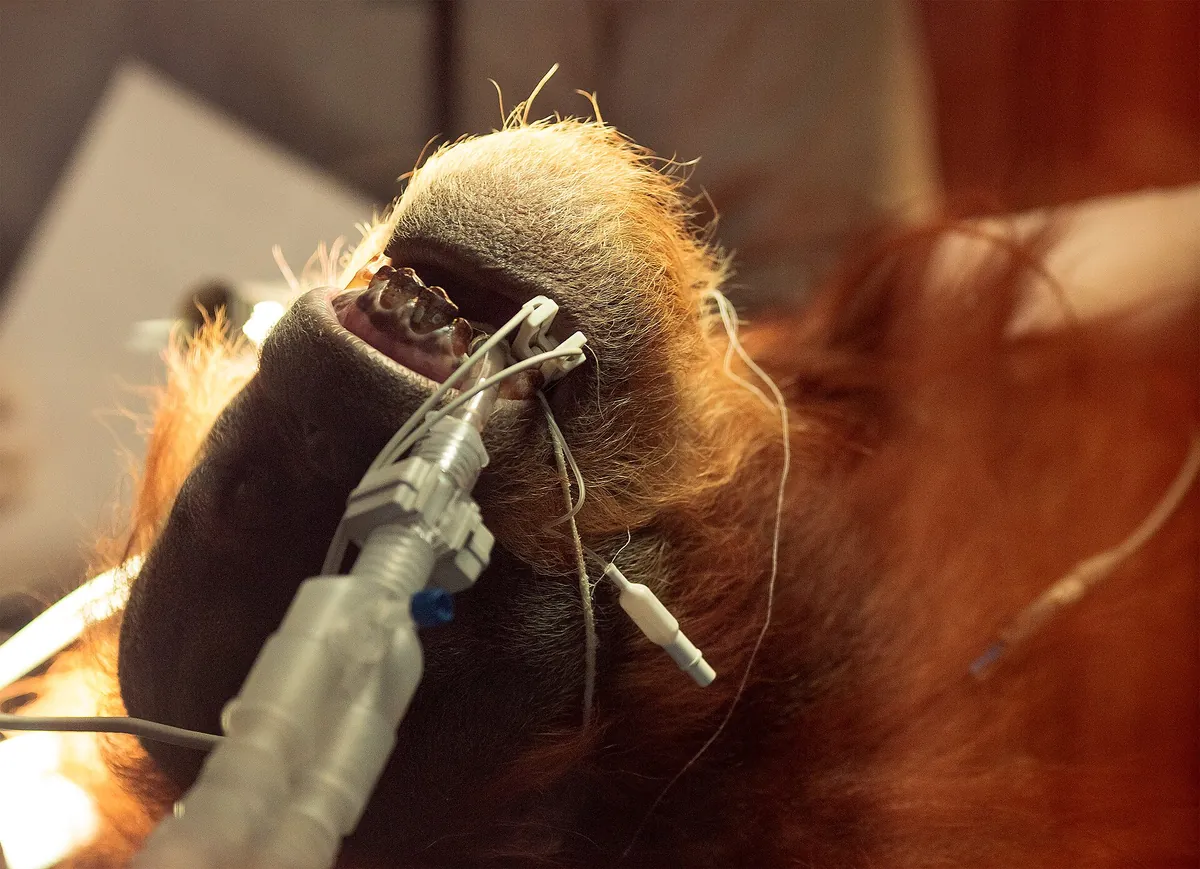 Sacramento Zoo