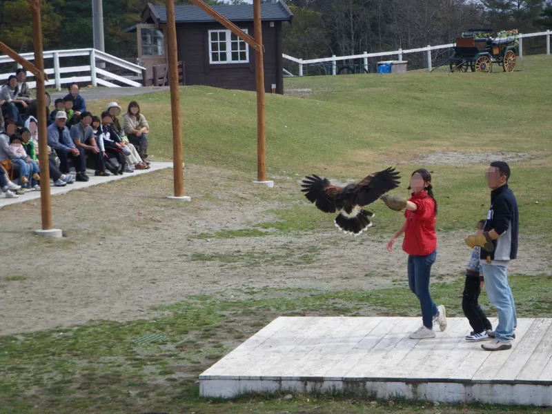 Nasu Animal Kingdom