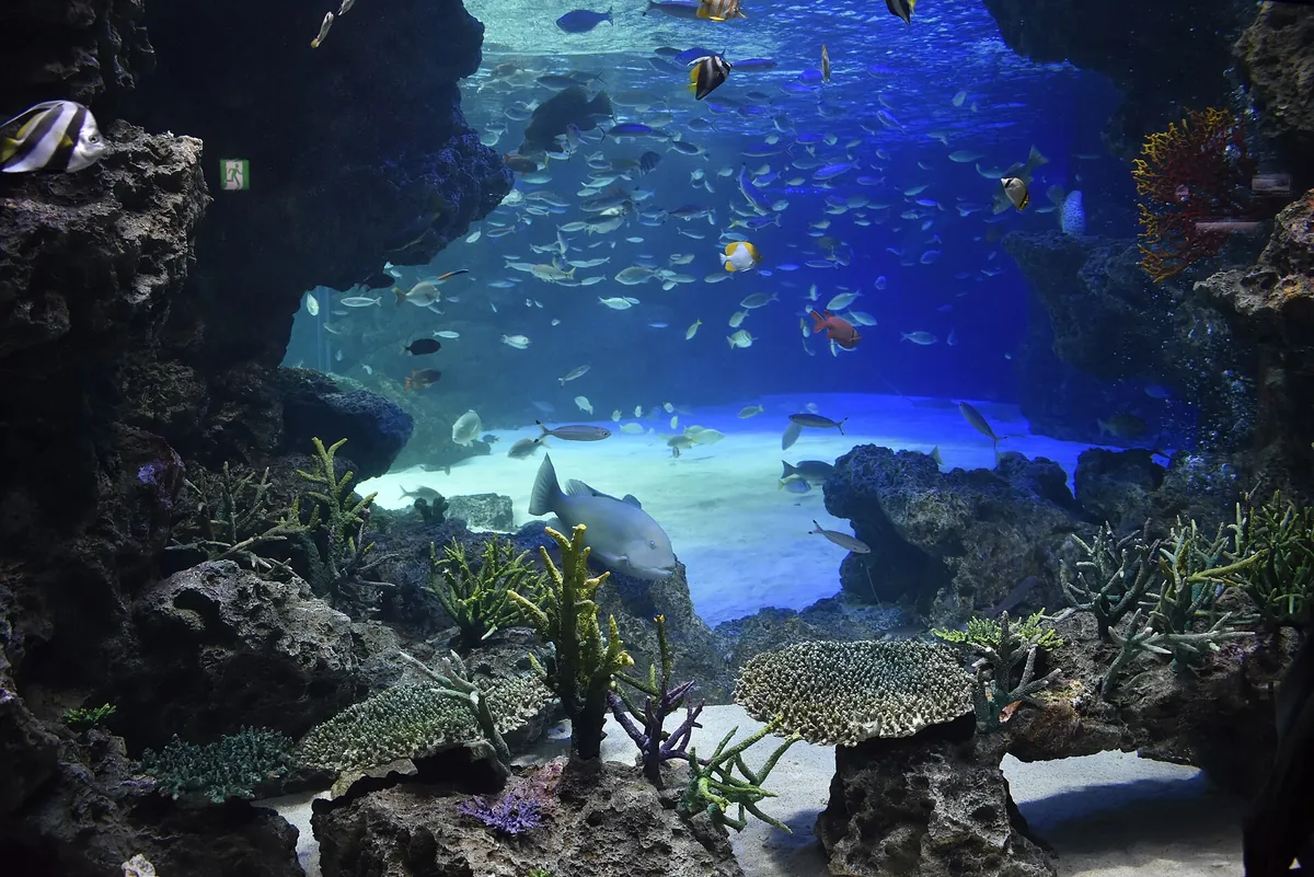 Sunshine Aquarium