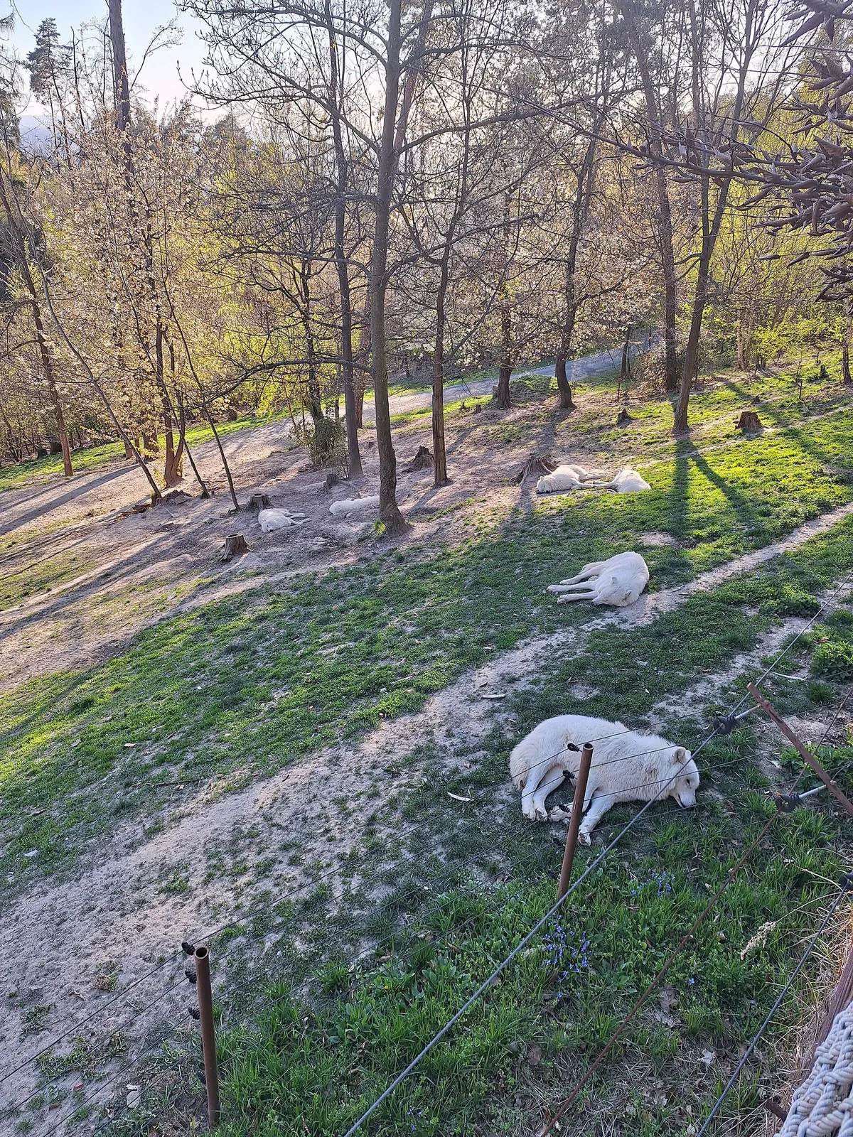 Olomouc Zoo