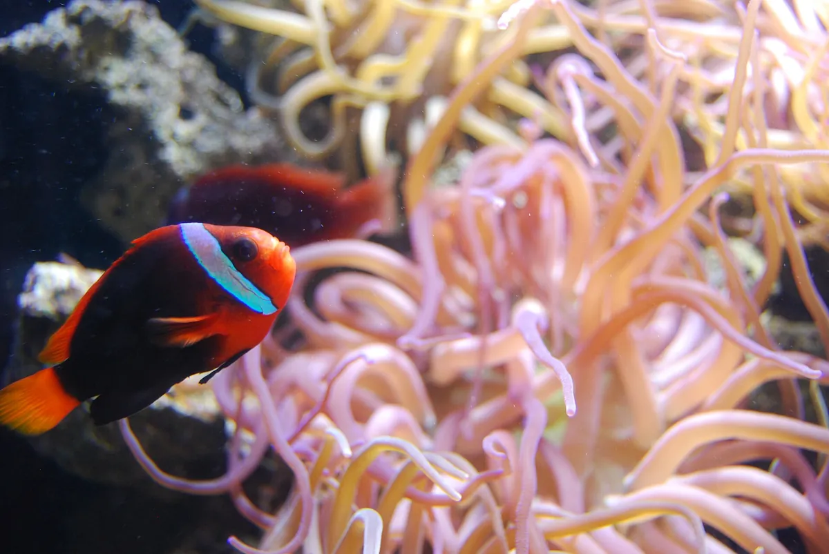 Key West Aquarium