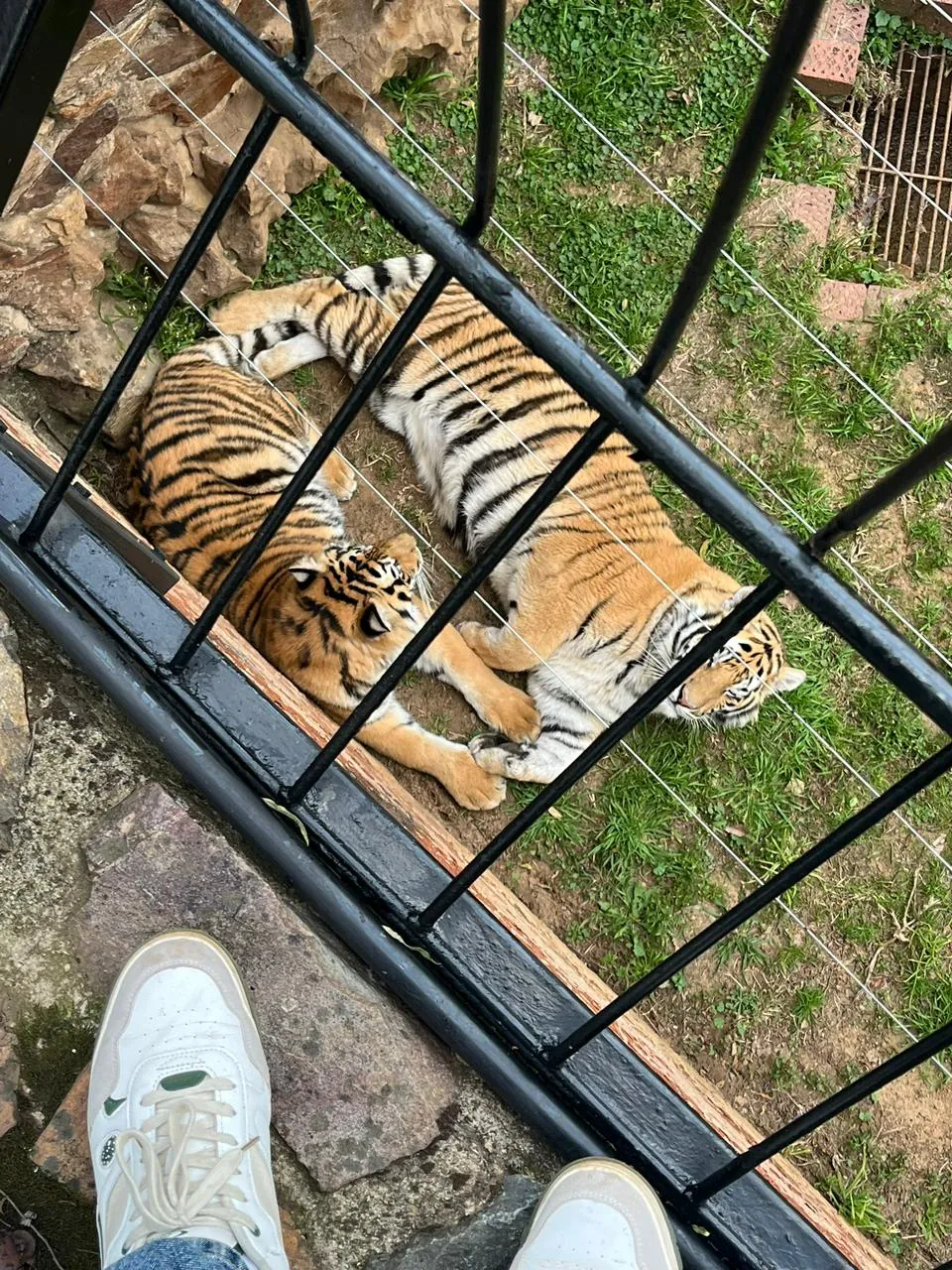 Johannesburg City Parks and Zoo