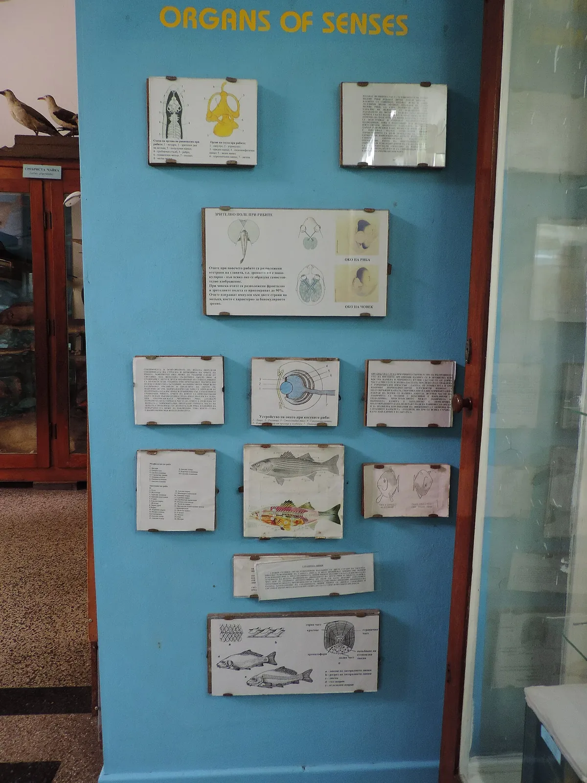 Varna Aquarium