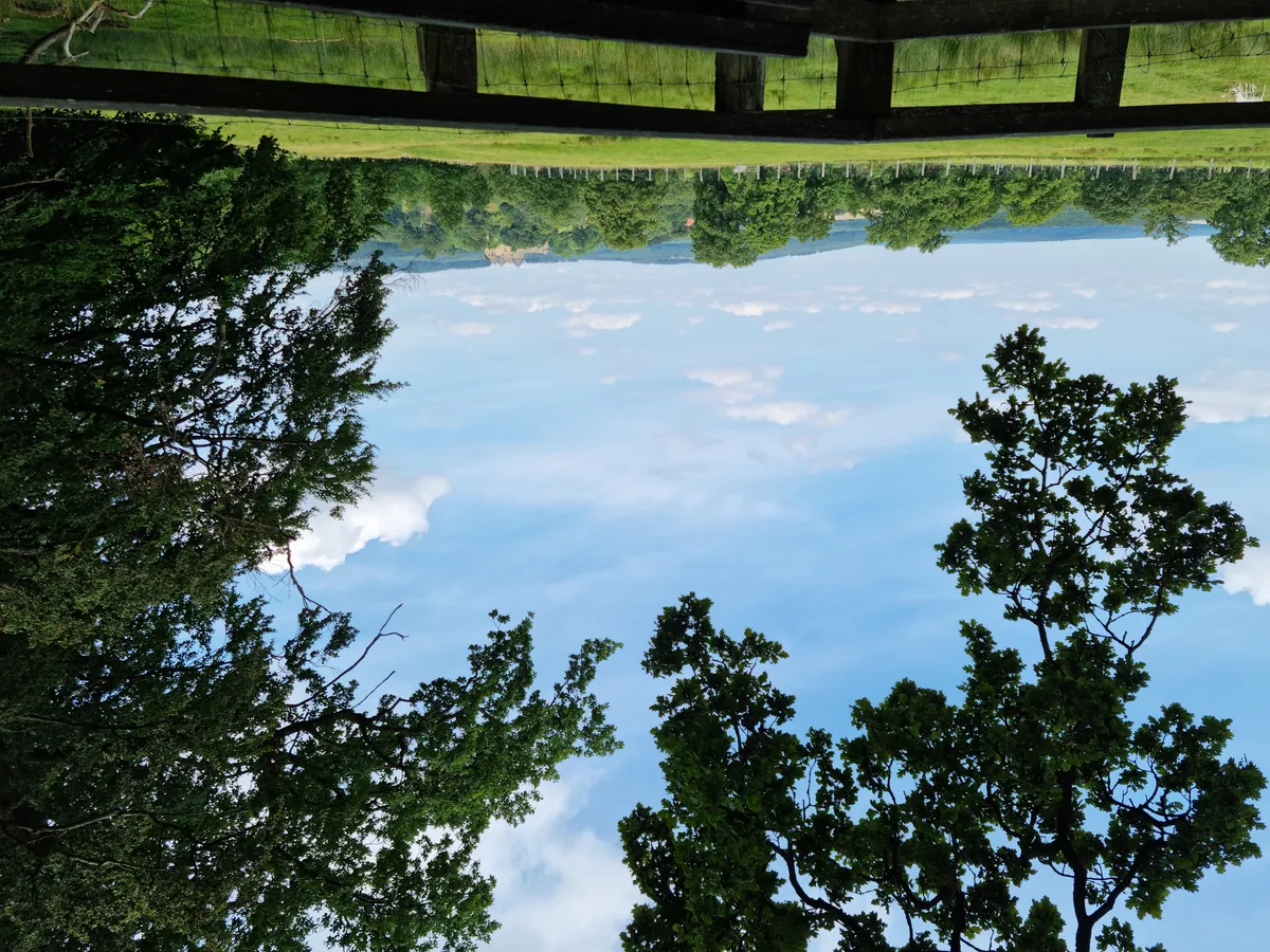 Tierpark Sababurg