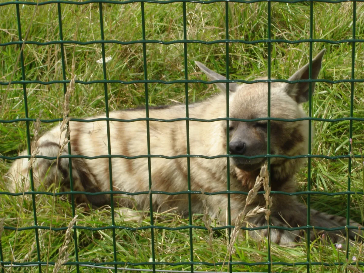 Haute Touche Zoological Park