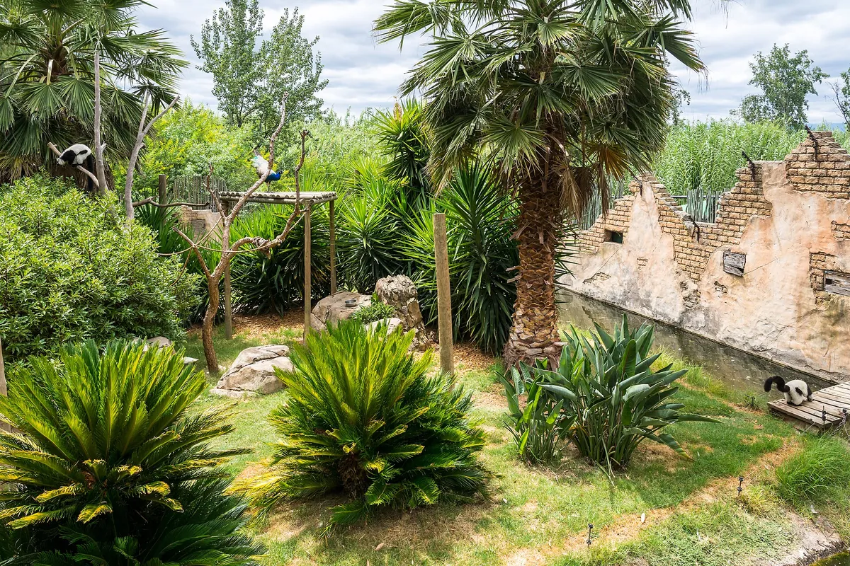 Cango Wildlife