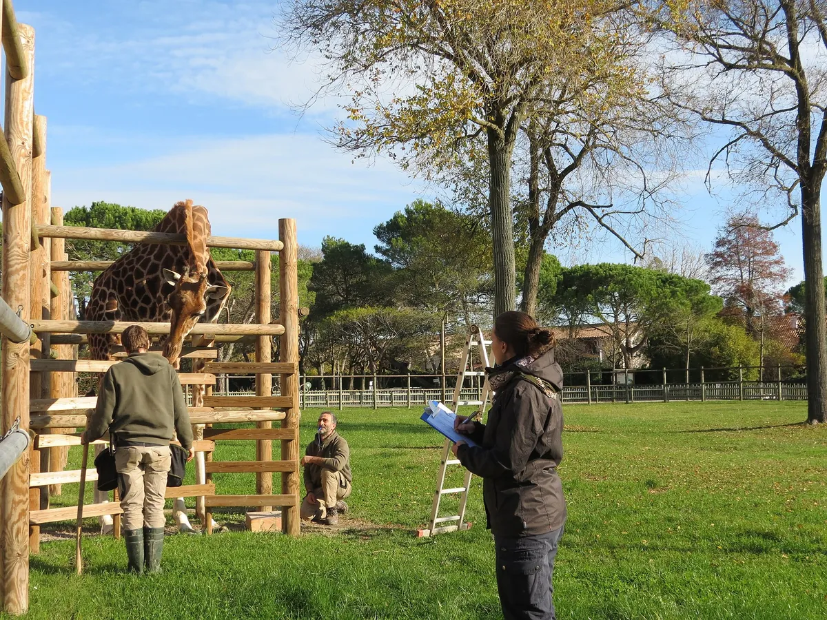 Parco Zoo Punta Verde