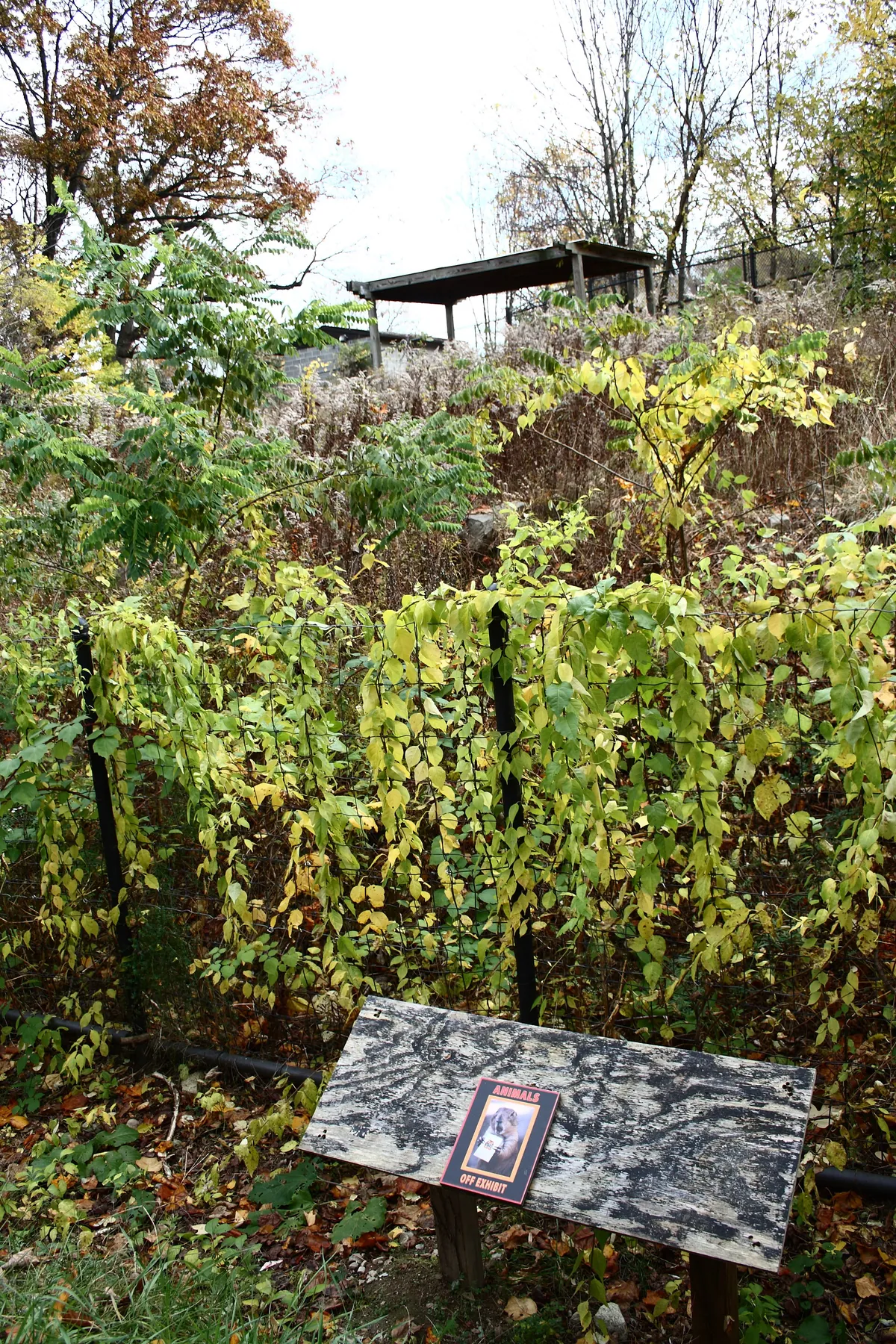 Connecticut's Beardsley Zoo