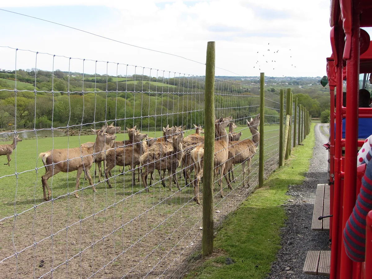 Folly Farm