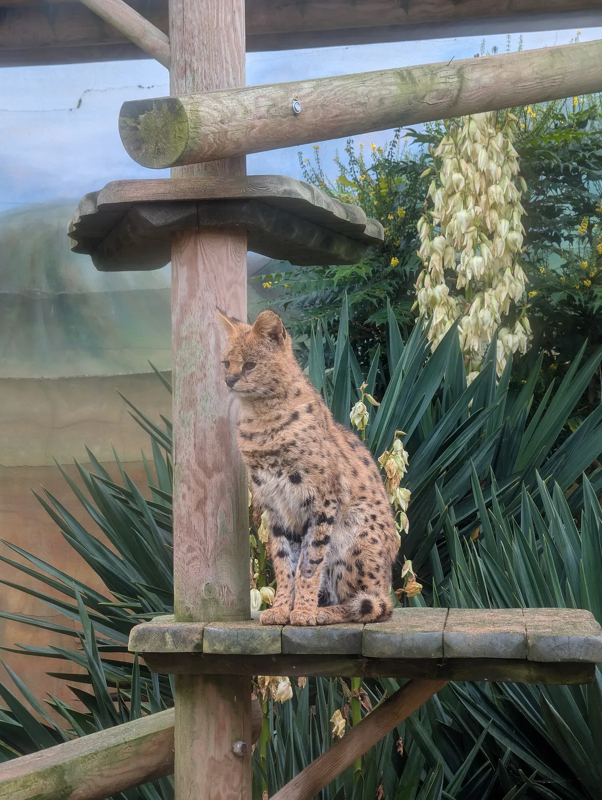 Drusillas Park