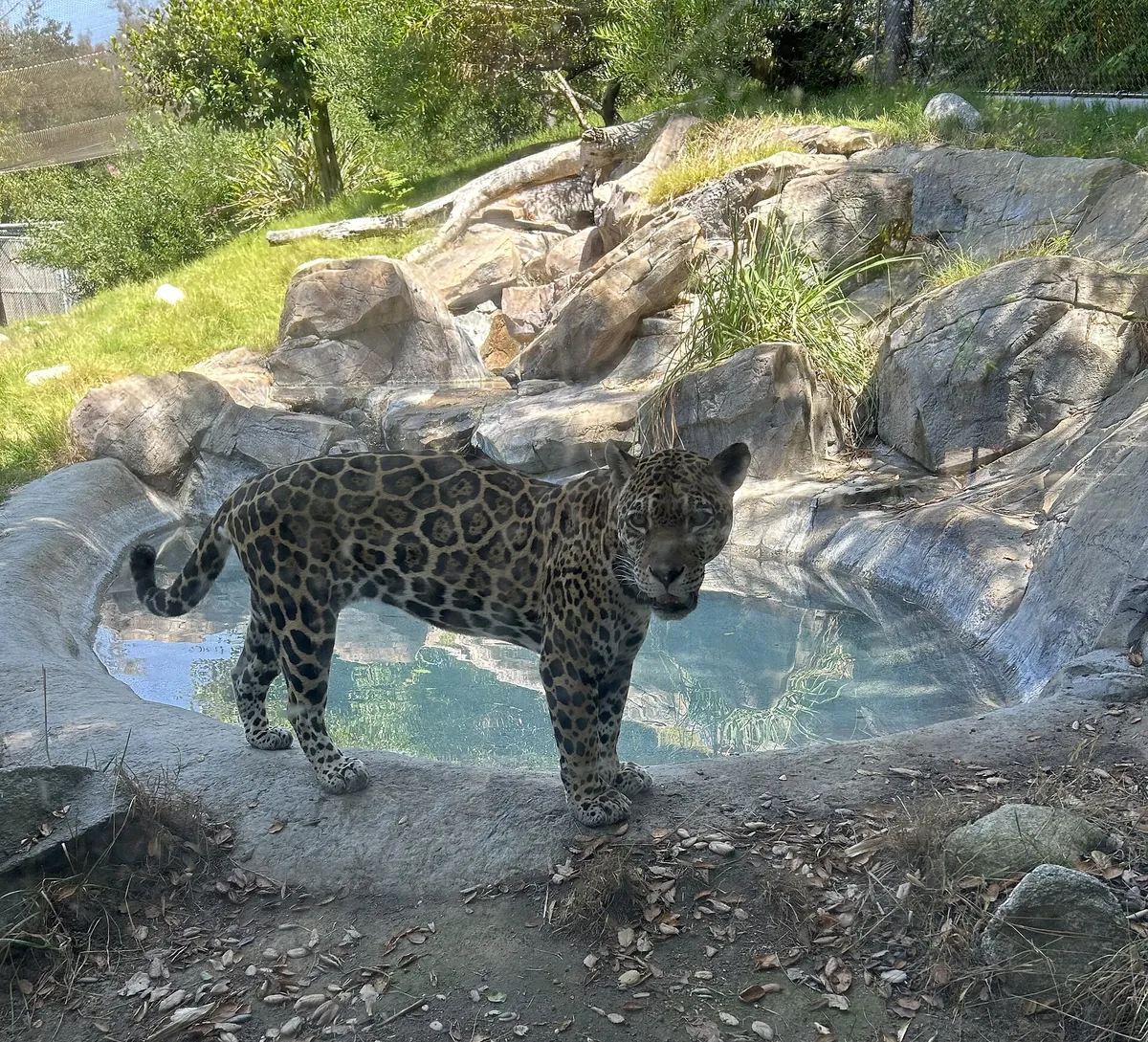 Los Angeles Zoo