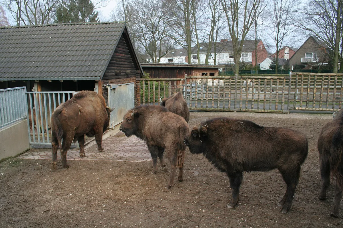 Tiergarten Mönchengladbach