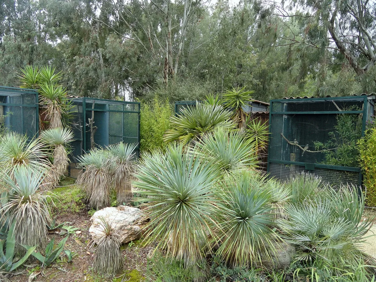 Jardin zoologique tropical