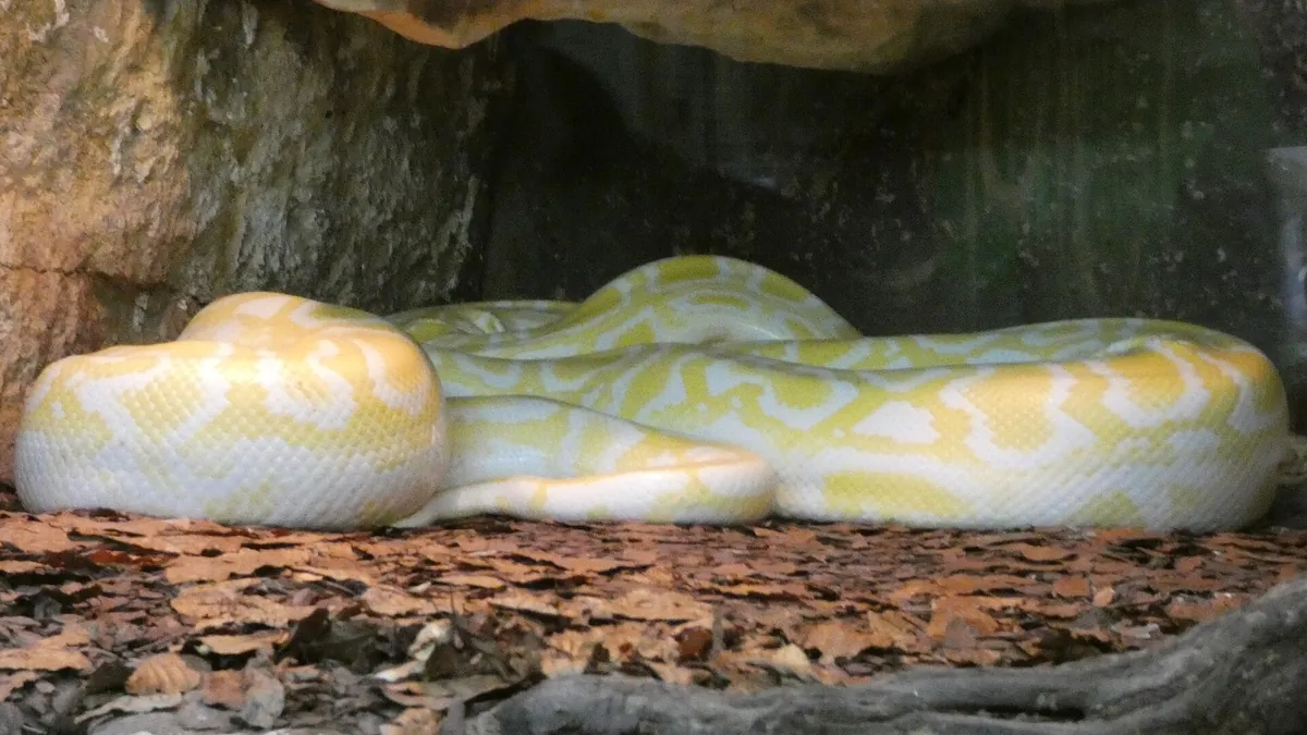 Happ's Reptilienzoo
