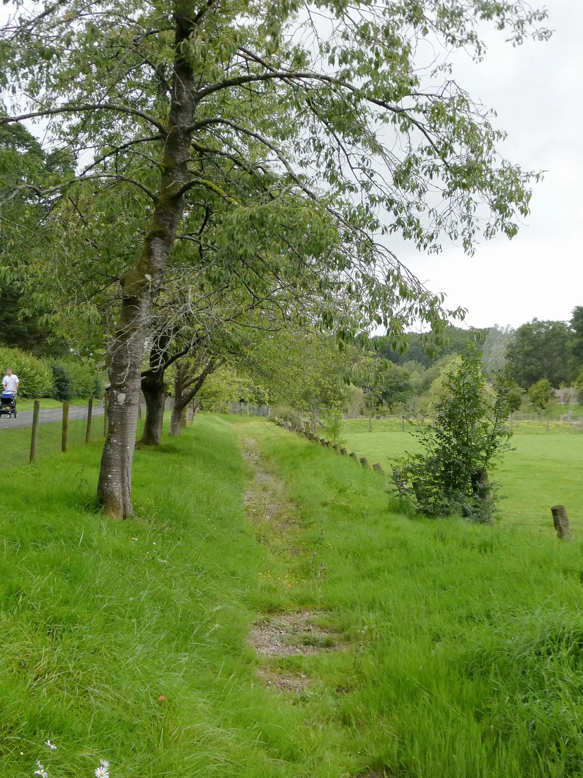 Marwell Zoo