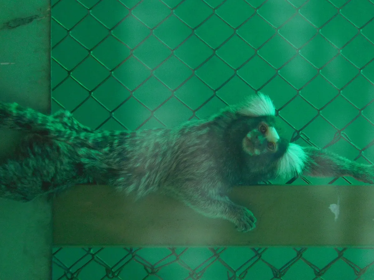 Sakkarbaug Zoological Garden