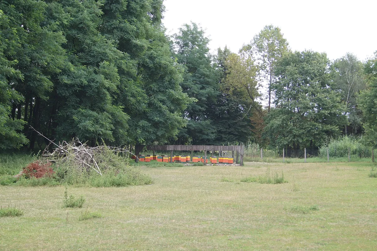 Wildpark Frankfurt