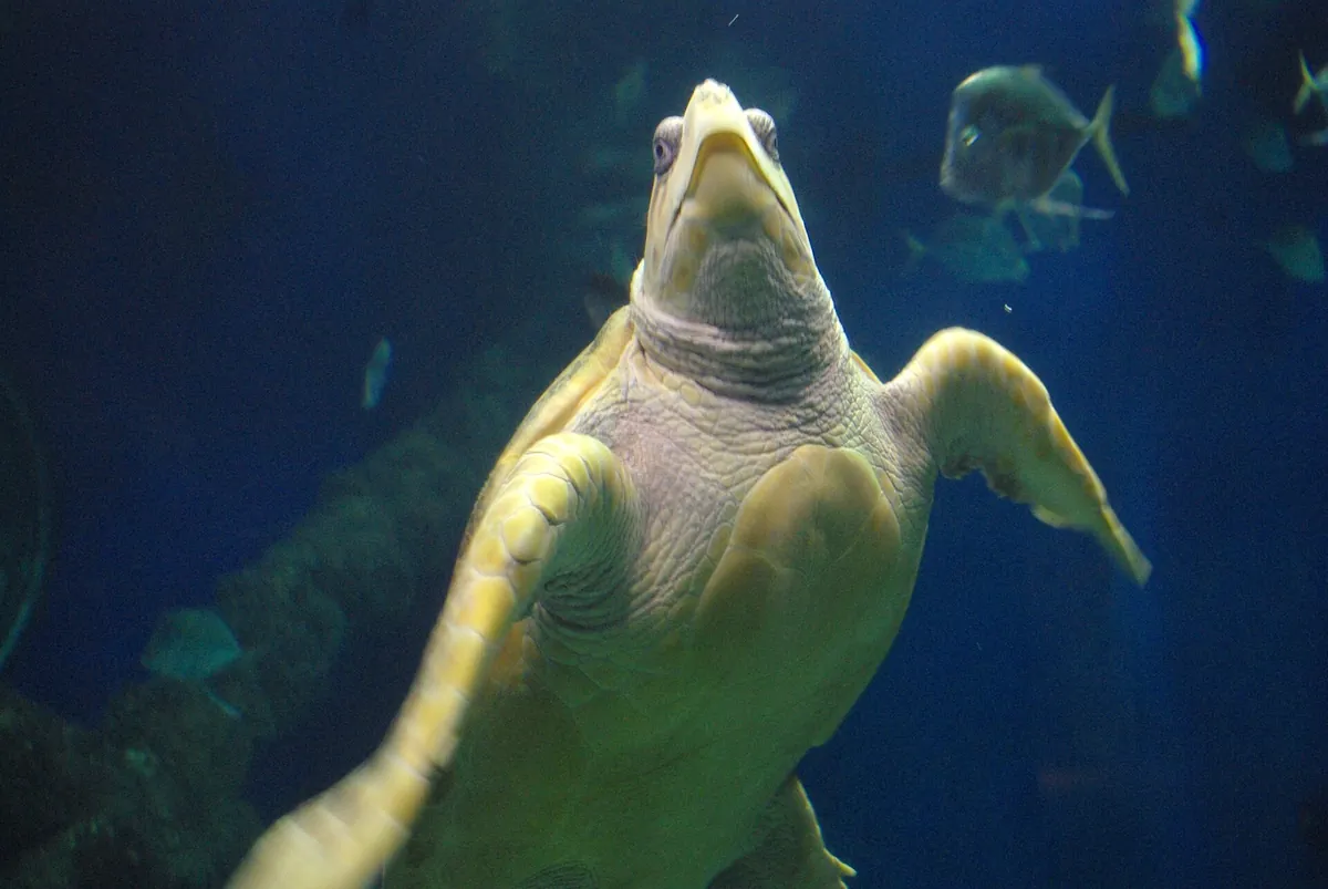 Virginia Aquarium and Marine Science Center