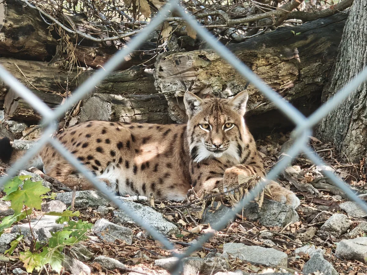 Bratislava Zoo