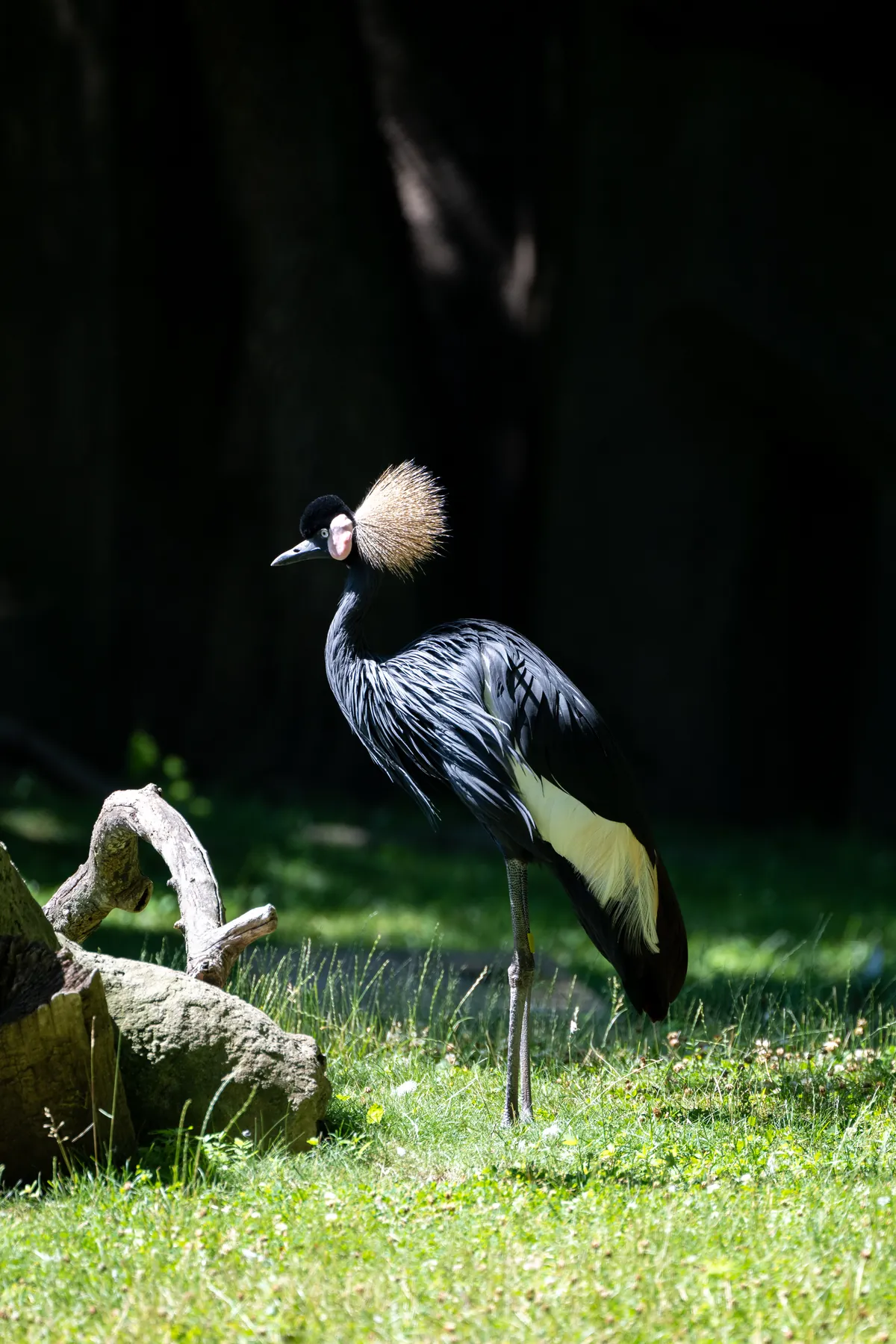 Milwaukee County Zoological Gardens